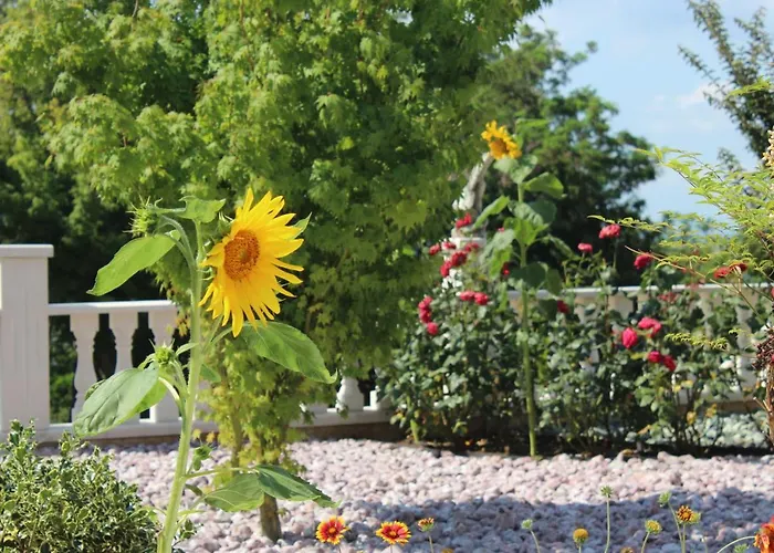 Apartmán Valencia Gardens Luxury