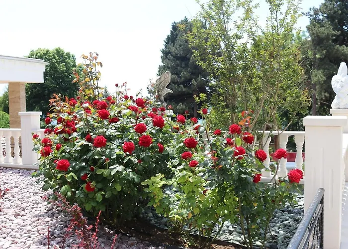 Valencia Gardens Luxury Nesebar