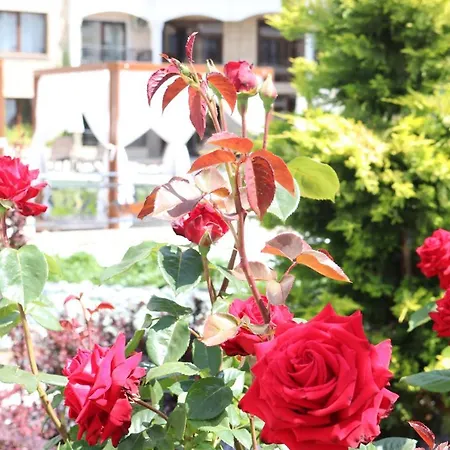 דירה Valencia Gardens Luxury