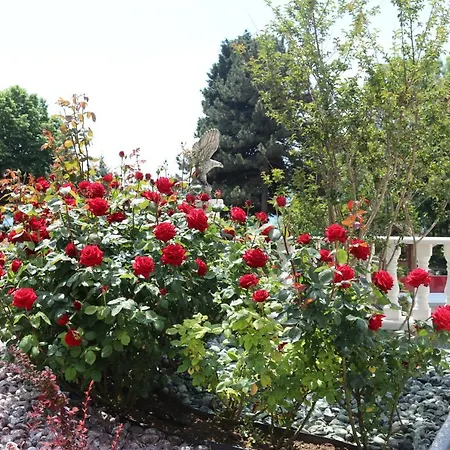Valencia Gardens Luxury נסבר