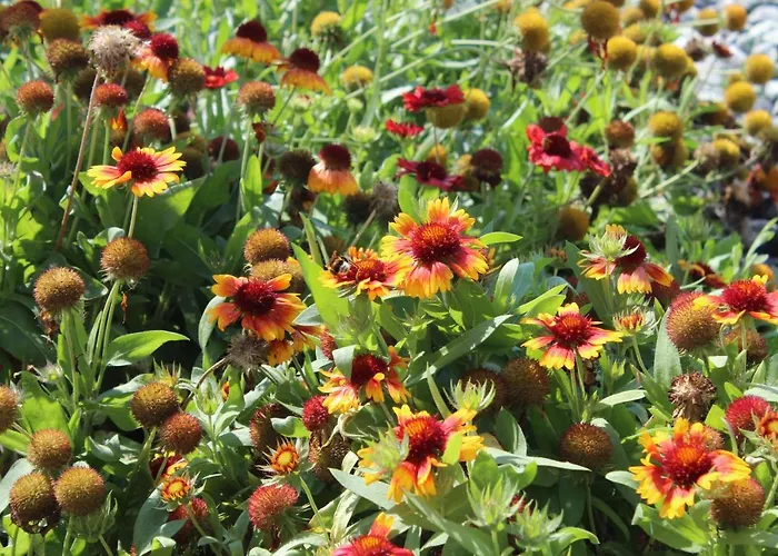 Valencia Gardens Luxury Apartamento