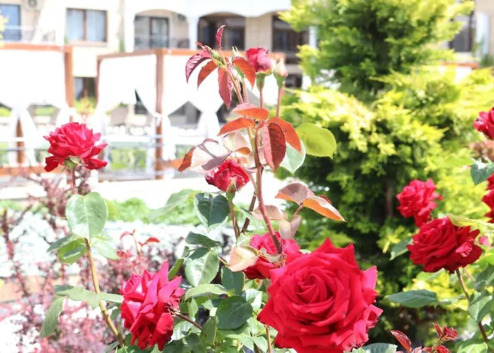 Apartamento Valencia Gardens Luxury